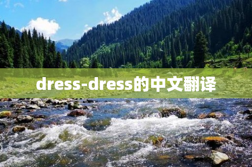 dress-dress的中文翻译