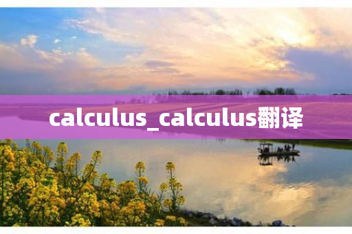 calculus_calculus翻译