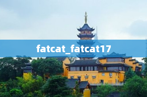 fatcat_fatcat17