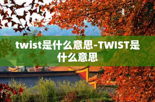 twist是什么意思-TWIST是什么意思