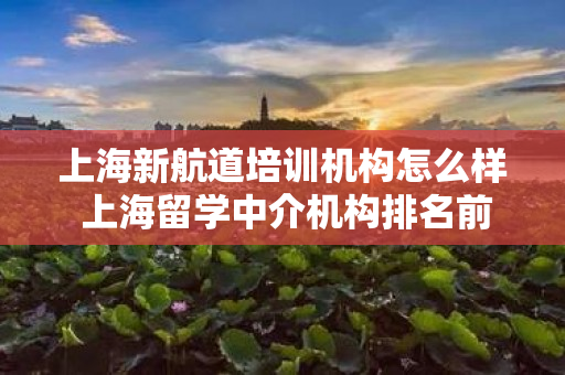 上海新航道培训机构怎么样 上海留学中介机构排名前十名