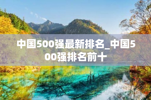 中国500强最新排名_中国500强排名前十