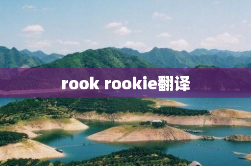rook rookie翻译