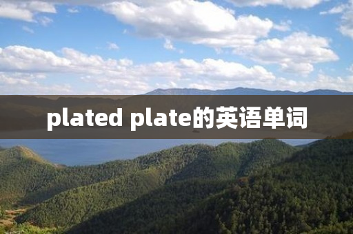 plated plate的英语单词