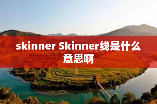 skinner Skinner线是什么意思啊