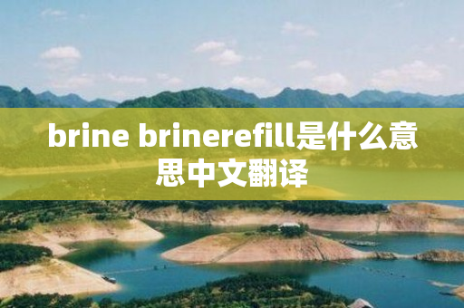 brine brinerefill是什么意思中文翻译