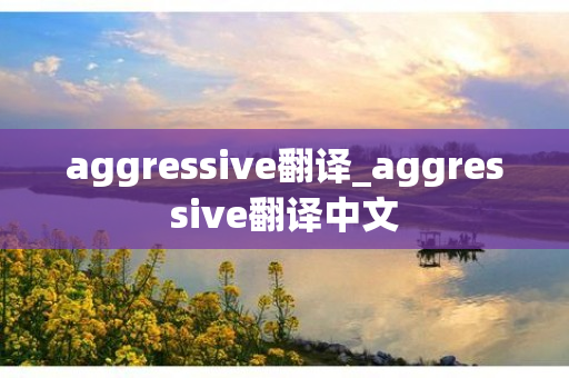 aggressive翻译_aggressive翻译中文